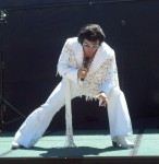 Rope Fringe Bay Area Elvis Rick Torres Sing Telegrams Rope Fringe Bay Area Elvis Rick Torres Sing Telegrams