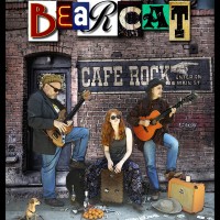 Bearcat Clan - Americana Band in Huntington Beach, California