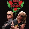 Bed of Roses
