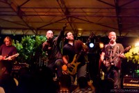 Before Nine - Cajun Band in Pensacola, Florida