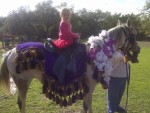 Pony Ride