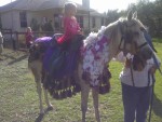 Pony Ride