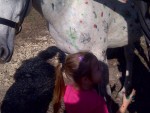 Paint the Pony