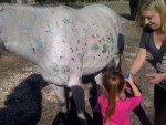 Paint the Pony