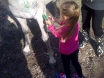 Paint the Pony
