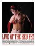 Performance Flyer