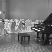 Best Wedding Pianist - Pianist in Loves Park, Illinois