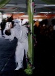 Cirque Mime 1