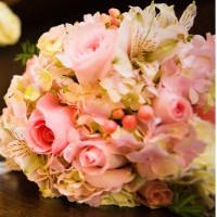 Black-eyed Susan Flowers - Event Florist in , 