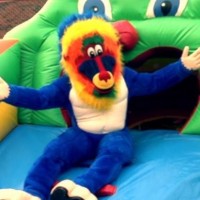 Blue Baboons Funtime Events, Inc. - Carnival Rides Company in , 