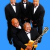 Blue Breeze Band (Motown R&B Soul Jazz Blues)