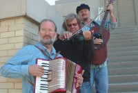 Blue Fiddle - Accordion Player in Fayetteville, Arkansas
