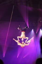 Blue Phoenix Circus Troupe