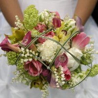 Blumz... by JRDesigns Floral & Event Professionals - Event Florist in , 