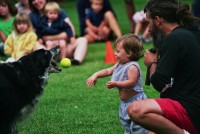Border Collie International Performing K-9 Team