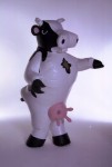 holy cow