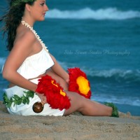 Brienne Steinke - Hawaiian Entertainment in Kalamazoo, Michigan