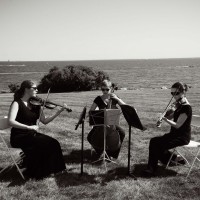 Brilliante Strings - String Trio in Sunnyvale, California