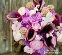 Bumble Bee Landing - Party Decor in Webster, Massachusetts