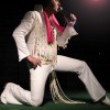 Butch Dicus - The King of Hearts