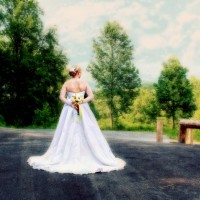 BW Ventures Photography - Horse Drawn Carriage in Knoxville, Tennessee