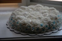 Cake Decorator/ Instructor