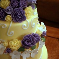 Cakes by Amanda - Cake Decorator in Brookfield, Illinois