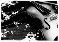 Canta Bella Strings - String Trio in Mauldin, South Carolina