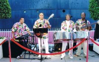 Caribbean Tropicanas