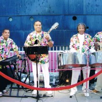Caribbean Tropicanas - Caribbean/Island Music in Riverside, California