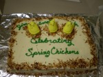 "Celebrating Spring Chickens"