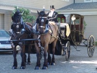 Carriage De Corriere