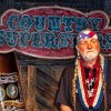 Casey Ferguson - Willie Nelson Tribute