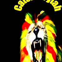 Catch A Fyiah - Reggae Band in Harrisburg, Pennsylvania