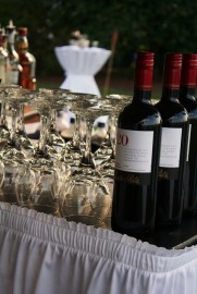 Catered Cocktails Mobile Bartending