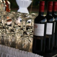 Catered Cocktails Mobile Bartending - Bartender in Hampton, Virginia