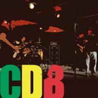 CDB (Chris DaSilva Band) - Reggae Band in Lyndhurst, New Jersey