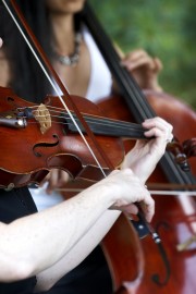 Celebration Musicians