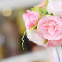Celebrations by Cindy Event Planning - Event Planner in Pleasanton, California