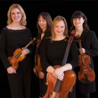 Celestial Strings - Classical Music in South Bend, Indiana
