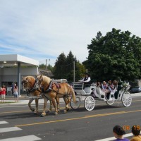 Chafin Farm Carriages - Limo Services Company in Eugene, Oregon
