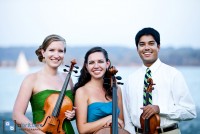 Chesapeake Strings - Cellist in Dover, Delaware
