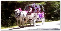 CHF Carriage Company