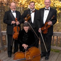 Chippewa Valley String Quartet - Classical Ensemble in Winona, Minnesota