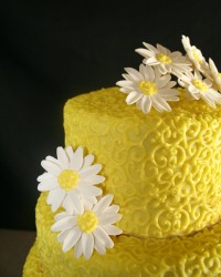 Christina's Custom Cakes