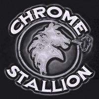 Chrome Stallion - Classic Rock Band in Bartow, Florida