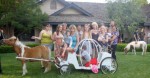 Everyone wants photos by Cinderella Carriage