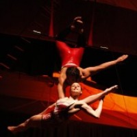 Circo Rose Entertainment - Sideshow in Aurora, Illinois
