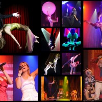 Cirque-tacular Entertainment, Circus Entertainment on Gig Salad