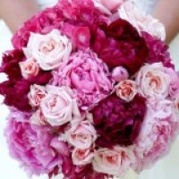 Cloud Nine Wedding Officiants - Wedding Officiant in Goleta, California